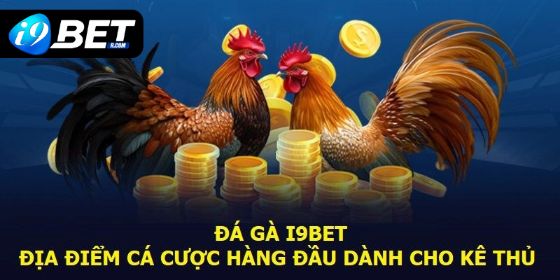 Giới thiệu nhanh về sảnh đá gà I9BET